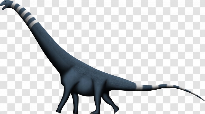 Puertasaurus Dinosaur Size Alamosaurus Amphicoelias Argentinosaurus - Lived Transparent PNG