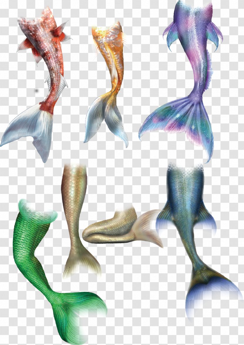 Mermaid Tail Drawing Transparent PNG