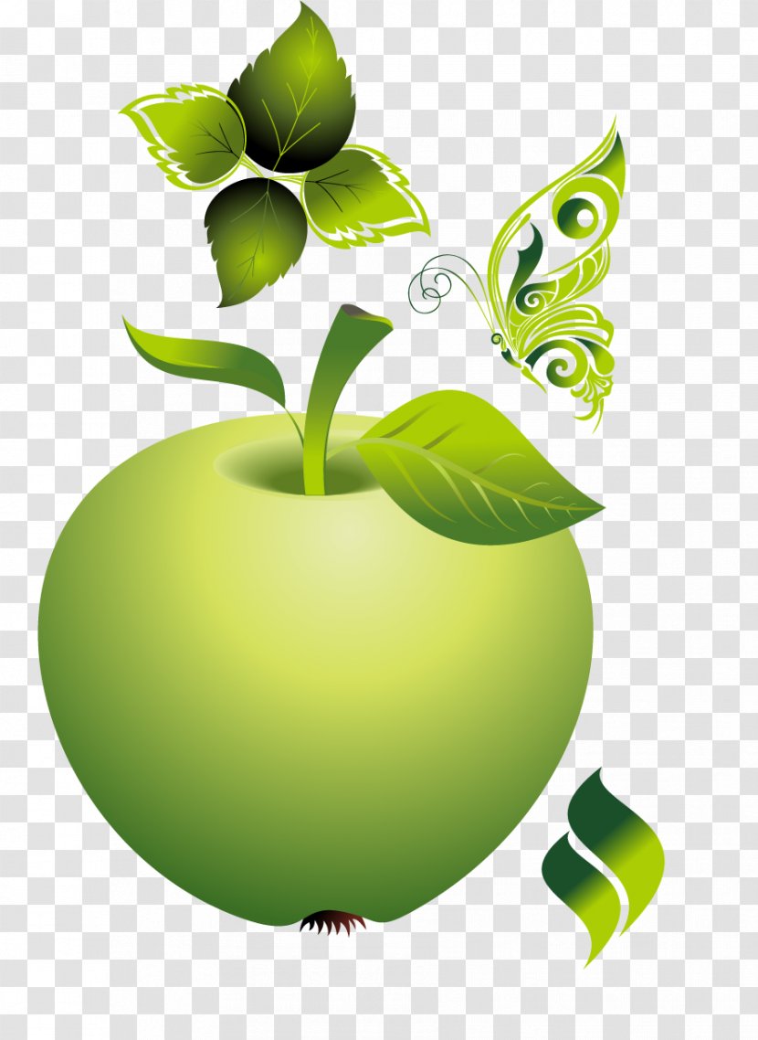 Ecology - Plant - Vector Green Apple Transparent PNG
