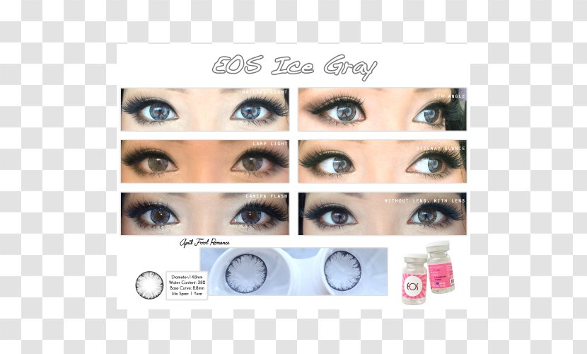 Contact Lenses Circle Lens Eye Brown - Tree - Grey Transparent PNG