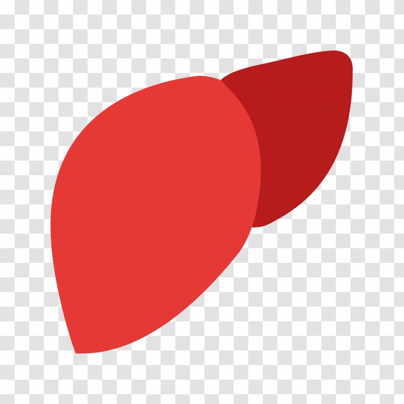 Fatty Liver Large Intestine - Hepatitis - RED SHAPES Transparent PNG