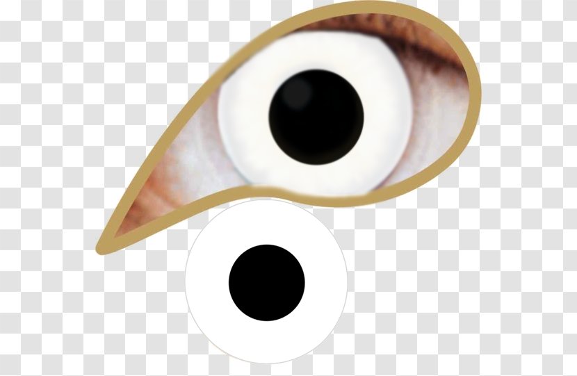 Eye Sclera Tweedehands.nl Contact Lenses - Month - White Out Transparent PNG