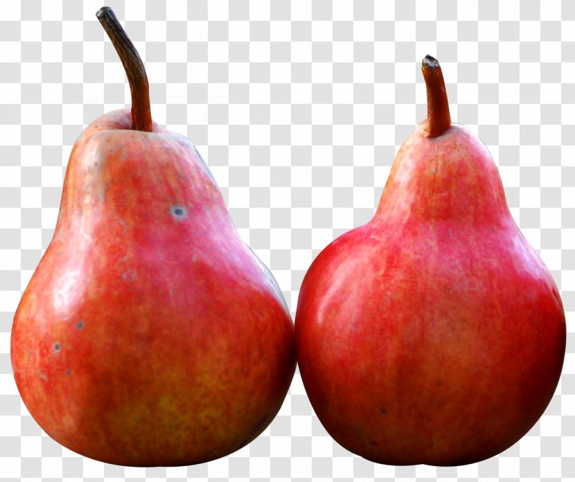 Pear Fruit - Apple Transparent PNG