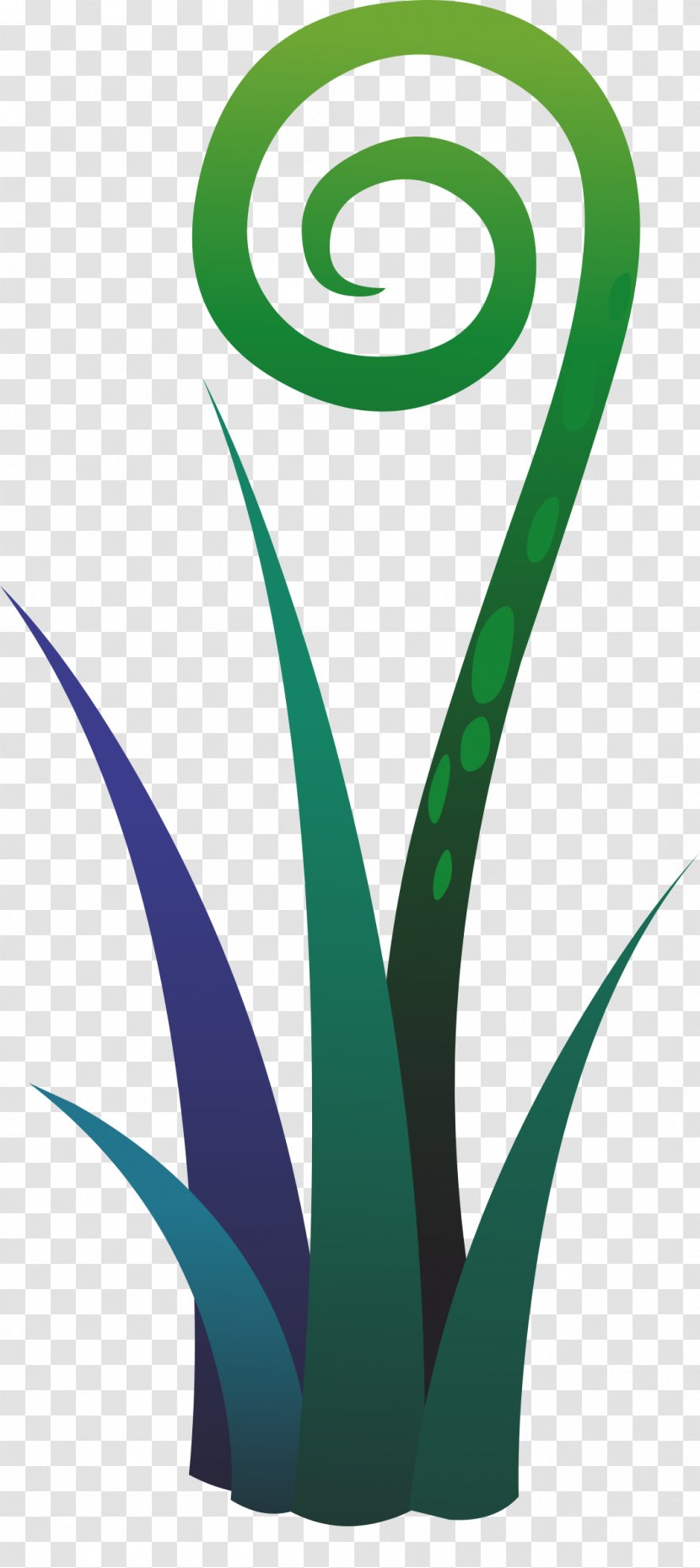 Plant Green Drawing - Leaf - Fern Transparent PNG