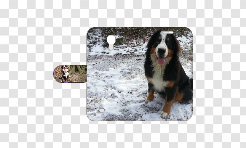 Bernese Mountain Dog Greater Swiss Entlebucher Australian Shepherd Breed - How I Met Your Mother Season 4 Transparent PNG