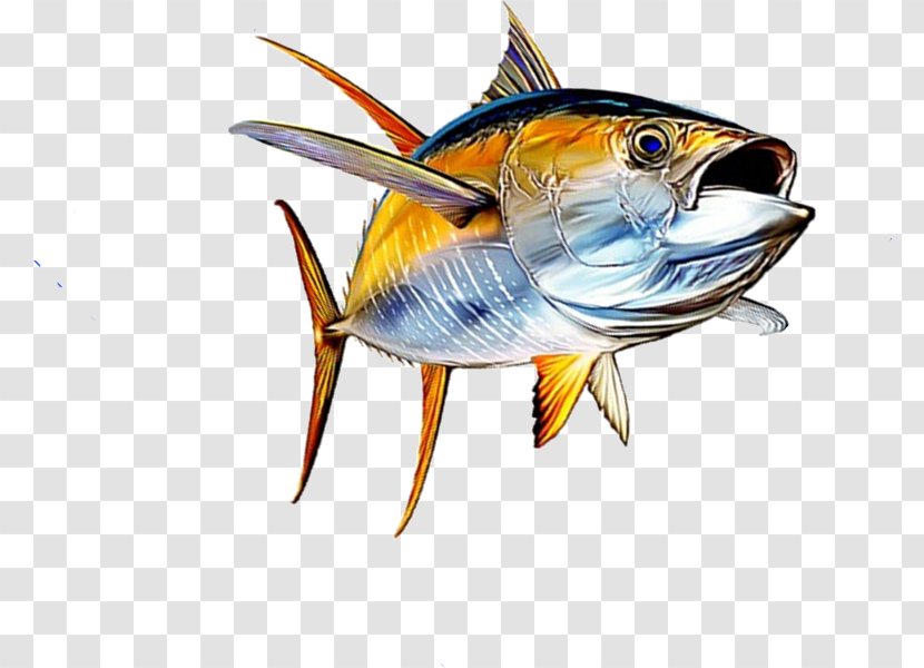 Tuna Salad Yellowfin Fish Seafood - Rayfinned - Canning Wood Transparent PNG