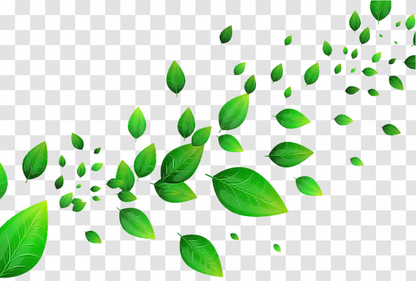 Green Leaf Plant Tree Flower Transparent PNG