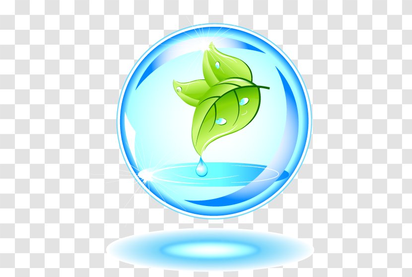 Nature Euclidean Vector Graphic Design - Organism - Water Drops In Green Leaves Transparent PNG