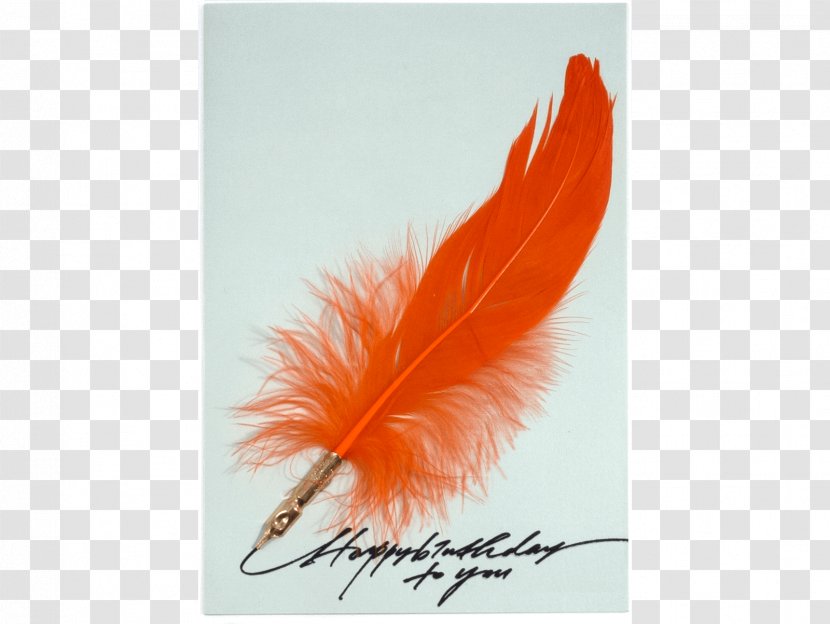 Feather - Quill - Wing Transparent PNG