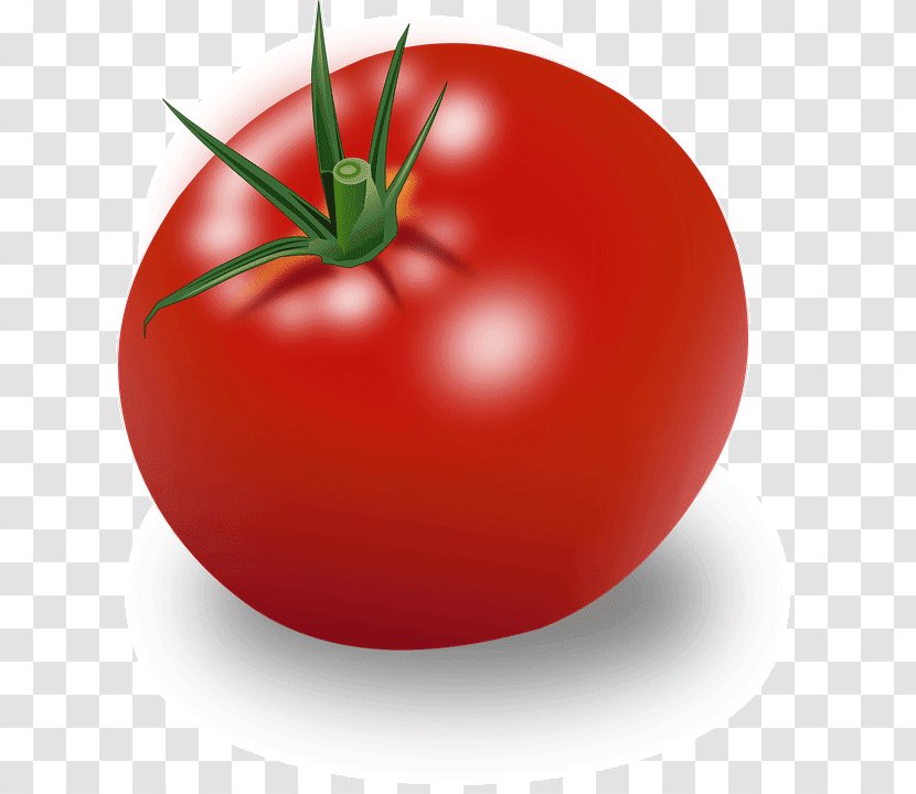 Hamburger Cherry Tomato Ripening Vegetable Clip Art - Mozzarella Transparent PNG