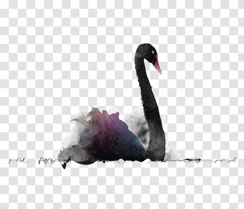 Black Swan Theory Poster - Hand-painted Creative Design Transparent PNG