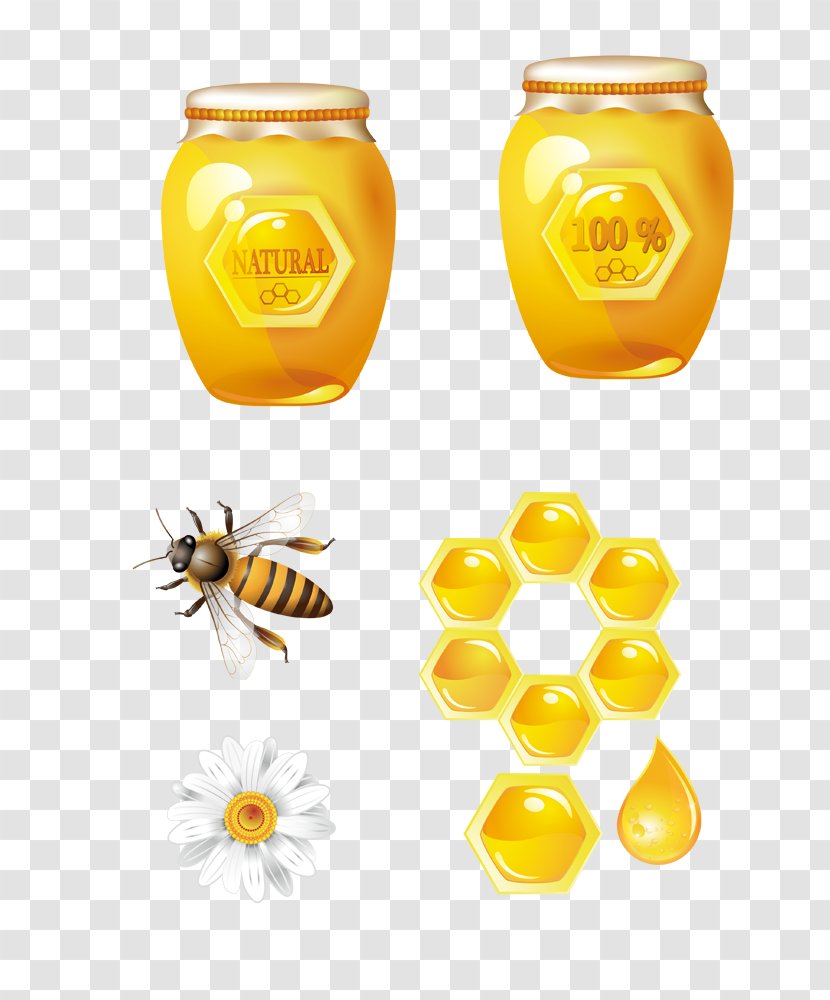 Honey Bee Honeycomb - Delicious Transparent PNG