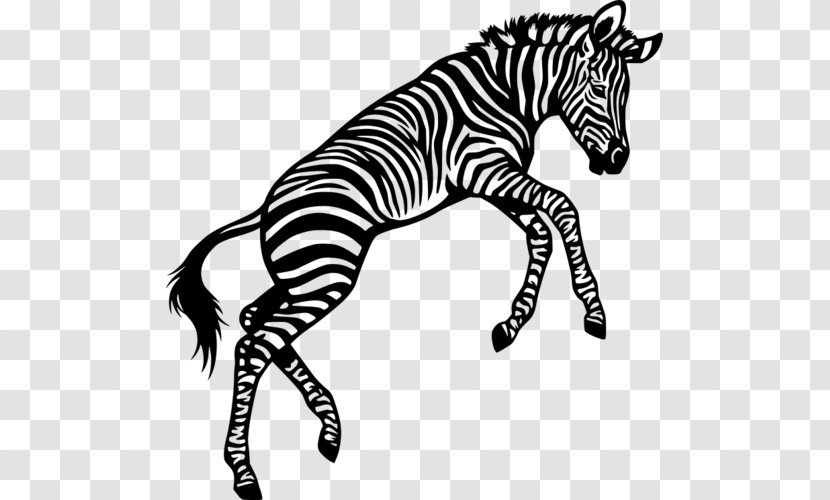 Zebra Cartoon - Mane - Coloring Book Tail Transparent PNG