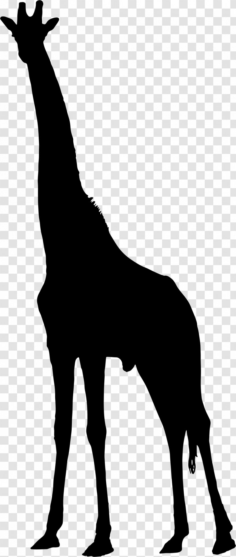 Silhouette Clip Art - Giraffe - Tall And Big Transparent PNG