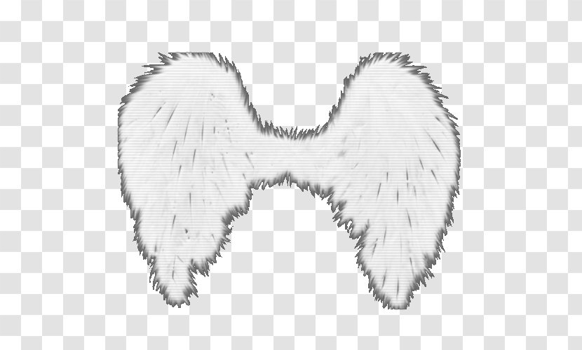 Fur Feather Tail White Transparent PNG