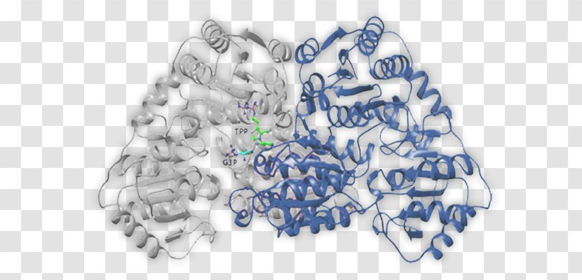 International Genetically Engineered Machine Catalysis Enzyme N2-(2-carboxyethyl)arginine Synthase Chemical Reaction - Tree Transparent PNG