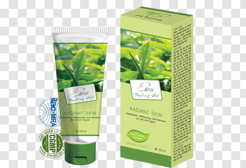 Exfoliation Sunscreen Cleanser Skin Cosmetics - Plant - Cell Transparent PNG