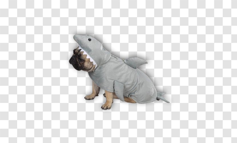 Pug French Bulldog Shark Puppy Costume Transparent PNG