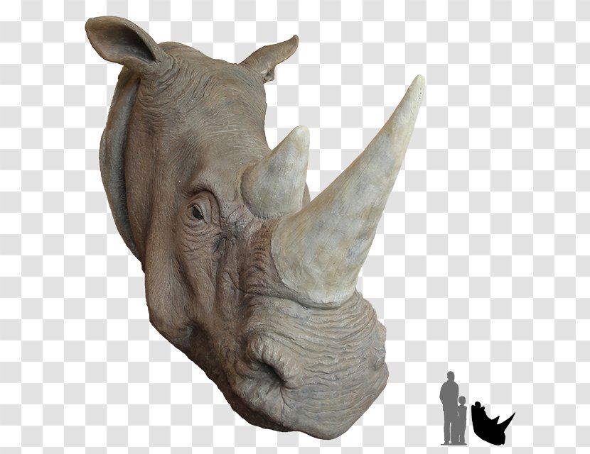 Rhinoceros Deer Animal African Rhino Horn - Lion Transparent PNG
