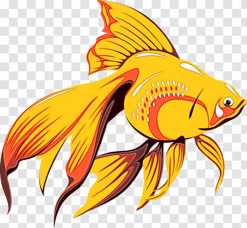 Fish Goldfish Fin Bony-fish - Wet Ink - Rayfinned Tail Transparent PNG