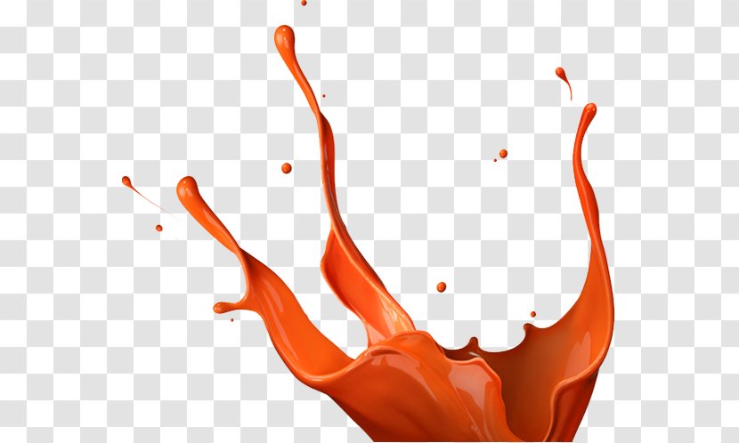 Painting Stock Photography - Flower - Splash Orange Transparent PNG