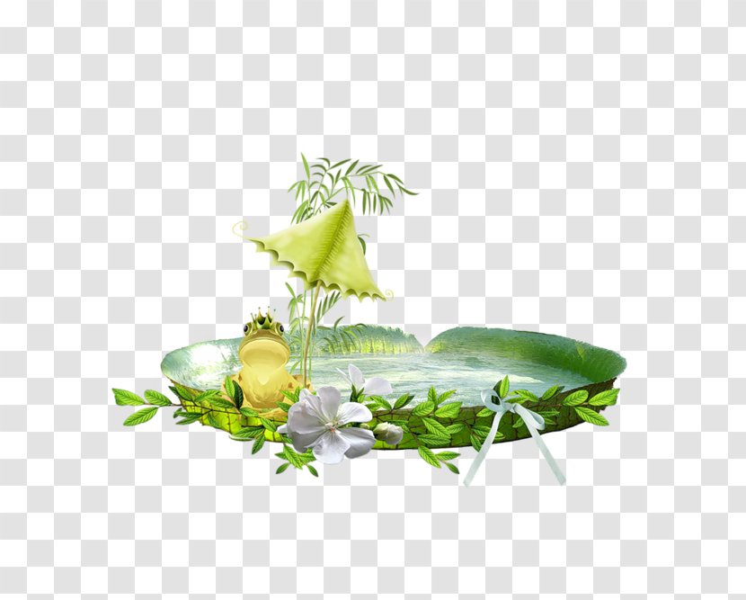 Promenade Du Peyrou Frog Desktop Wallpaper - Tree - Spend Flowers On New Year's Day Transparent PNG