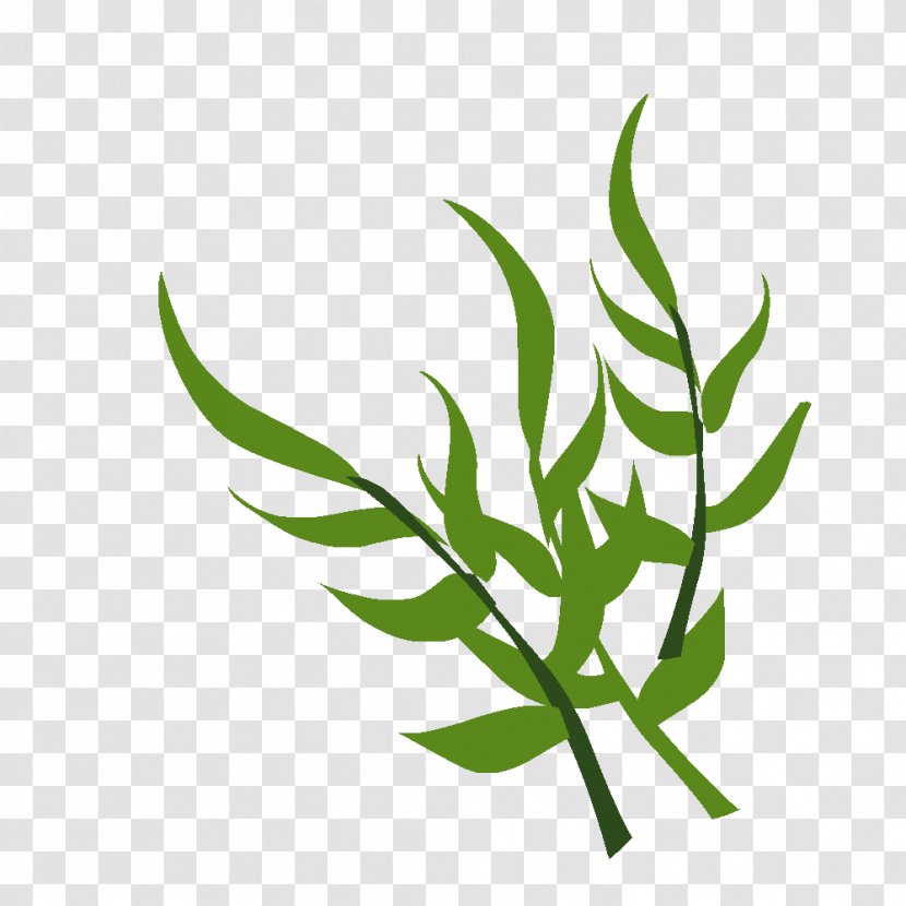 Leaf Grasses Plant Stem Tree Clip Art Transparent PNG