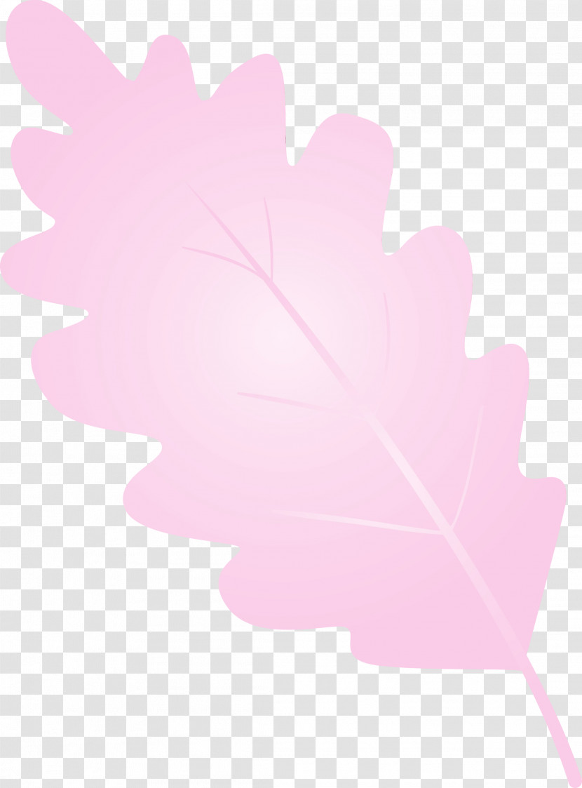 Maple Leaf Transparent PNG