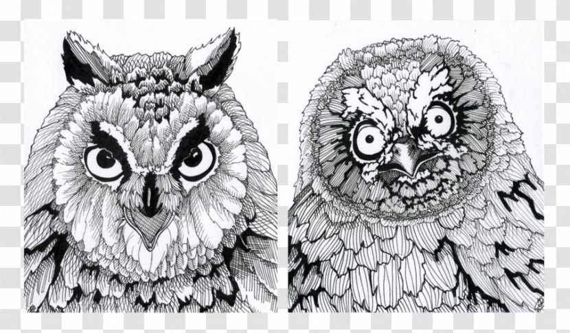 Owl Artist Drawing Bird - Creative Transparent PNG