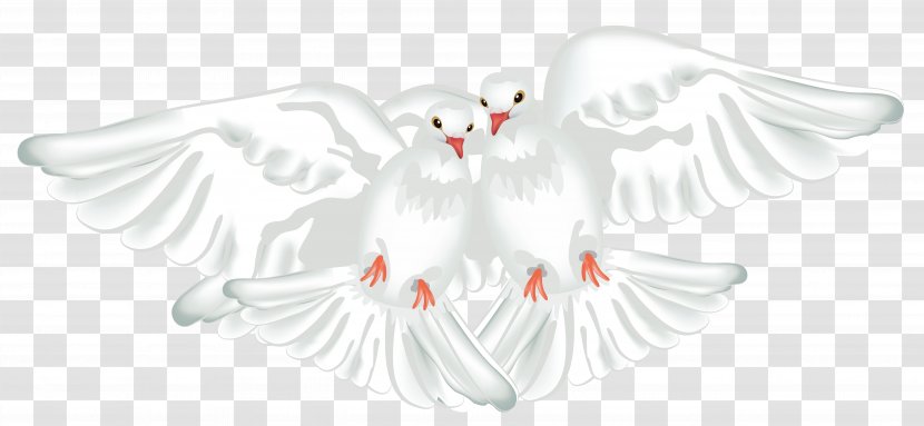 Columbidae Ruddy Ground Dove Rock Maddie Rooney - Heart - White Doves Transparent Clipart Transparent PNG