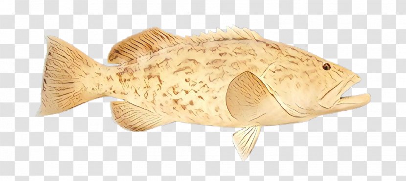 Fish Sole Flounder Transparent PNG