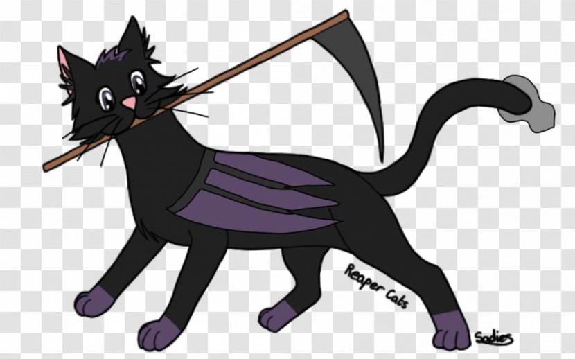 Black Cat Kitten Whiskers Dog - Paw Transparent PNG