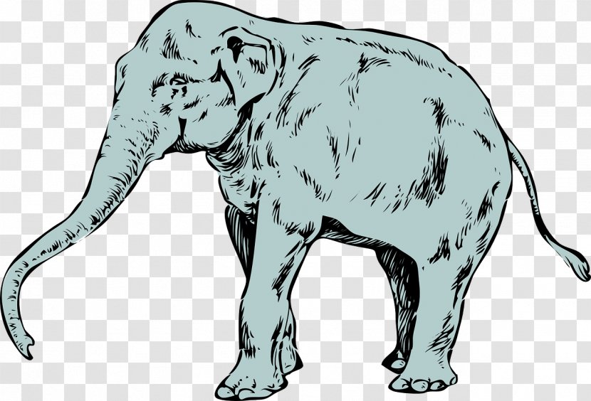 Asian Elephant Tusk Pixabay - Huge Transparent PNG