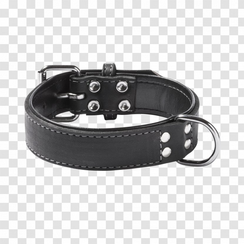 Dog Collar Black Leash - Strap Transparent PNG