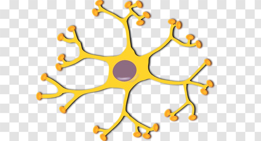 The Neuron Motor Clip Art - Unlabeled Microscope Diagram Transparent PNG