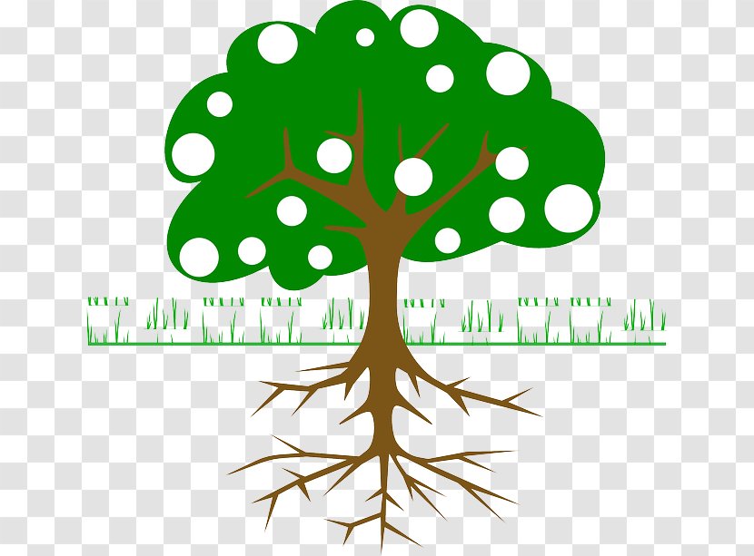 The Great Kapok Tree Clip Art - Brand Transparent PNG