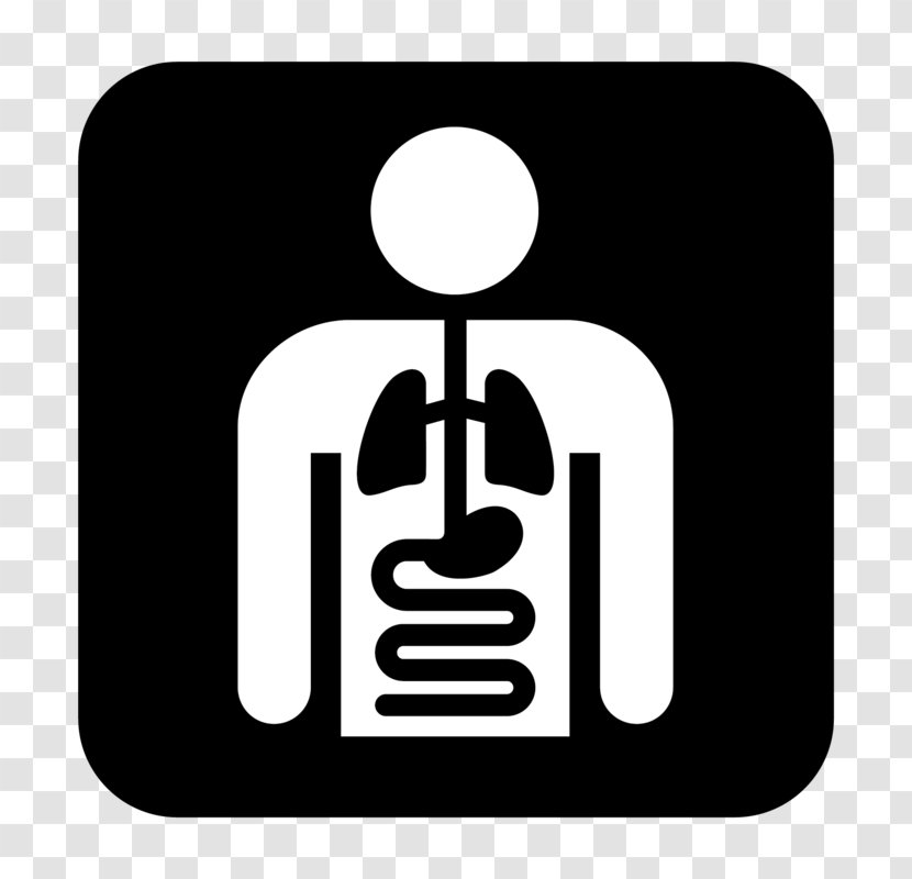 Internal Medicine Internist Health Care Hospital - Family - Logo Transparent PNG