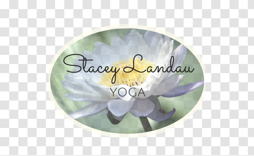 Stacey Landau Yoga Therapy Radlett St Albans - Class Transparent PNG