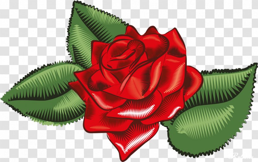 Garden Roses Red Petal Data - Amazing Flowers Transparent PNG