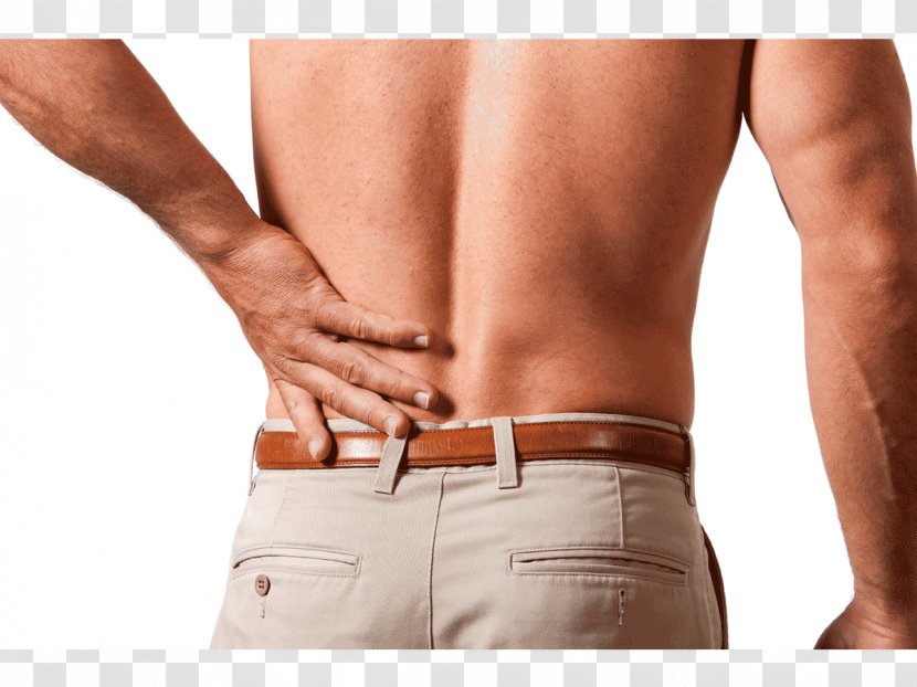 Waist Sprain Therapy Joint Jindalee Chiropractic - Flower - Scoliosis Transparent PNG