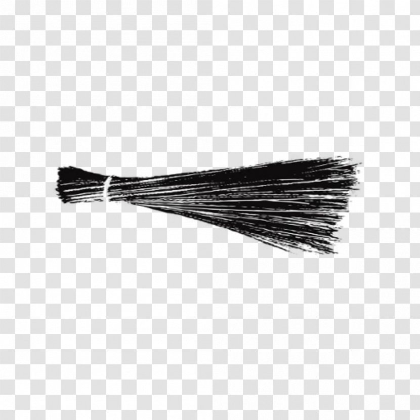 Punjab Legislative Assembly Election, 2017 Municipal Corporation Of Delhi Goa - Election - Broom Transparent PNG