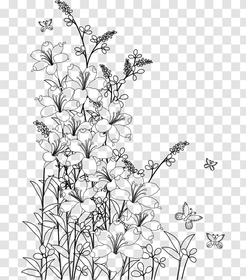 Coloring Book Adult Flower - Petal Transparent PNG