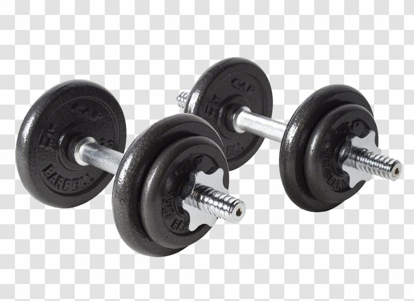 Dumbbell Weight Training Bench Barbell Exercise Equipment - Physical Strength Transparent PNG