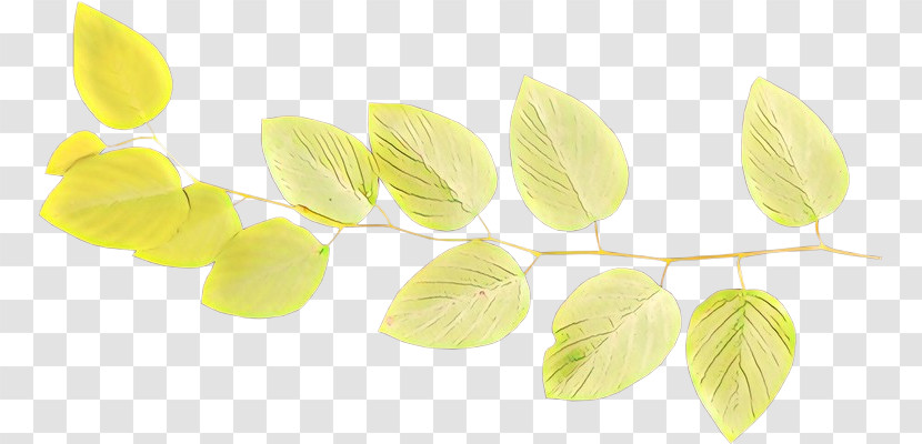 Yellow Leaf Plant Petal Transparent PNG