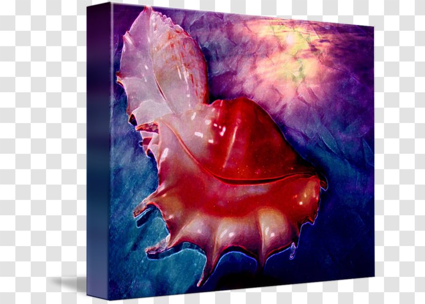 Painting Cephalopod Acrylic Paint Biology - Organism Transparent PNG