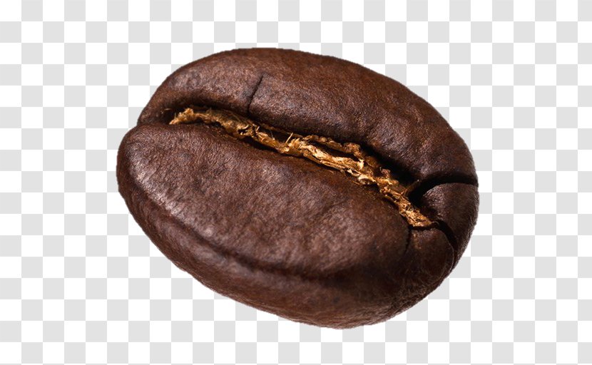 Kona Coffee Cafe Espresso Latte - Co Transparent PNG