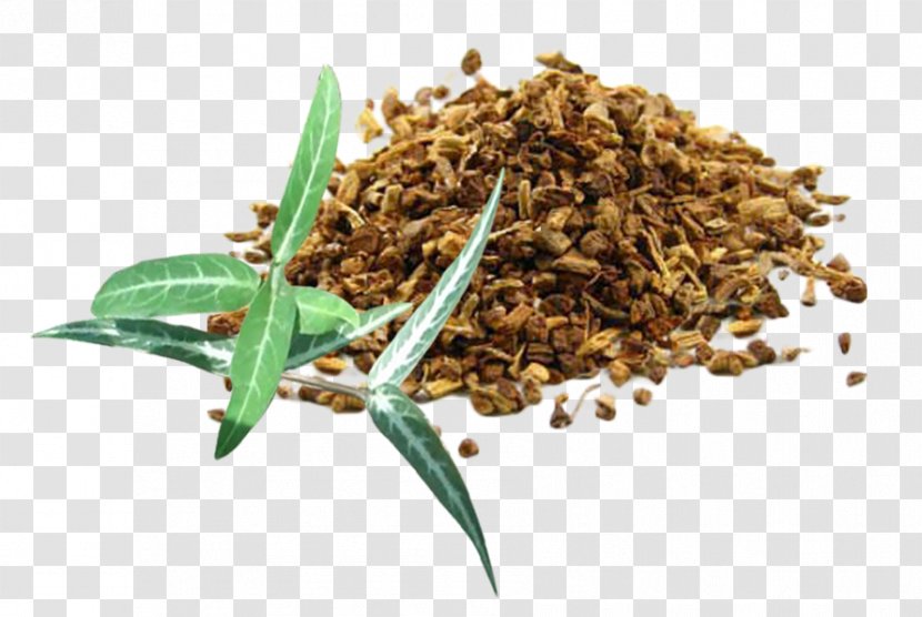 Hemidesmus Indicus Jamaica Sarsaparilla Herb Medicinal Plants - Extract - Cinnamon Bark Transparent PNG