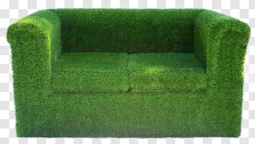 Chair Couch Lawn Garden Artificial Turf - Green Wall Transparent PNG