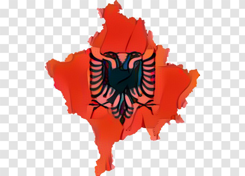 Flag Background - Albanian Language - Logo Orange Transparent PNG