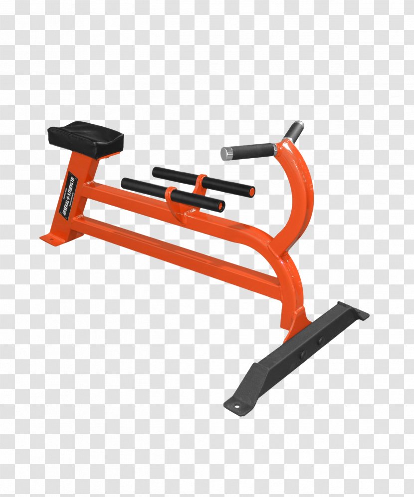 Exercise Machine Bent-over Row Bench Strength Training - Fitness Centre - Dumbbell Transparent PNG